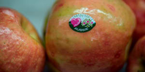 Pink Lady apples on the packing line.
