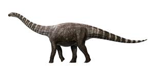 An artist’s rendition of Rhoetosaurus brownei,a sauropod.