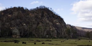 Hunter Valley ponders a future of dwindling coal