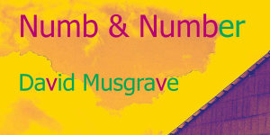 Numb and Number by David Musgrave.