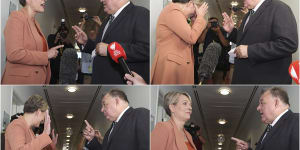 A series of photos showing Labor MP Tanya Plibersek and Liberal MP Craig Kelly having a robust discussion as they cross paths in the corridor of Parliament House’s press gallery.