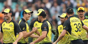 ‘LIV Golf equivalent’:IPL franchises approach Australian cricketers for year-round contracts