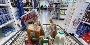 Less for more:A small selection of essential items sits in a shopping trolley in Northwich,England.
