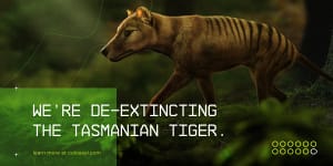 “De-extinction” startup Colossal Biosciences is seeking to revive the woolly mammoth along with the Tasmanian tiger and other long-gone species.