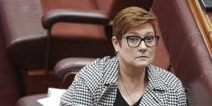 Foreign Minister Marise Payne hits out at Chinese,Russian'disinformation'