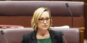 Queensland Greens senator Larissa Waters wants the Queensland Government to upgrade Toondah Harbour,but protect the wetlands.
