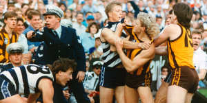 Geelong's Steve Hocking and Hawthorn's Dermott Brereton scuffle in the 1989 grand final.