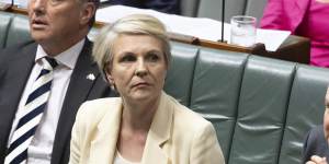 Plibersek intervenes in giant ‘climate bomb’ gas project