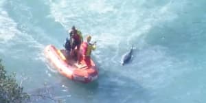 Footage shows the injured common bottlenose dolphin struggling to swim off Shelly Beach.