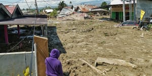 Scientists surprised by power of Indonesia tsunami