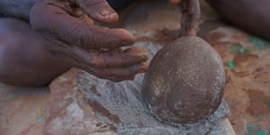 Ancient eucalyptus superfood porridge could be'lost forever'