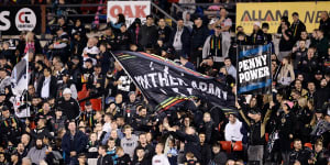 Panthers sources said the new funding would probably allow for a knockdown renovation of the ground’s main grandstand and improve other facilities.