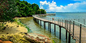 The coastal boardwalk at the Chek Jawa Wetlands on Pulau Ubin.
