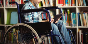 Schools should provide a foundation level of support to children and individual support packages through the NDIS would then be built on top of that,the scheme’s reviewers say.