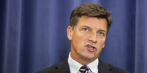 “A drover’s dog can deliver a budget surplus this year,” says shadow treasurer Angus Taylor.