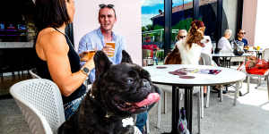 Dog-friendly pub Illinois Hotel at Five Dock,Sydney.