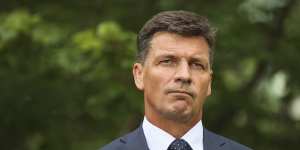 Angus Taylor is leading the race to be named shadow treasurer under Peter Dutton.