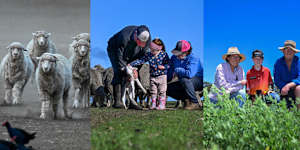 The Green family farm has gone from desperately dry to lush and fertile. 