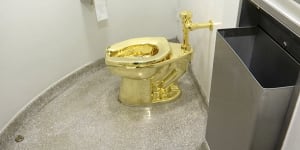 What America’s toilets tell us about the crappy lies rich people peddle