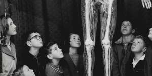 School children looking at Transparent Woman at the Museum of Applied Arts and Sciences in 1963.