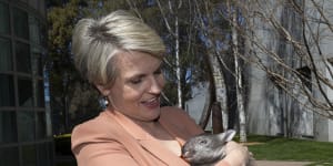 Environment Minister Tanya Plibersek holds a wombat during a Threatened Species Day in September.