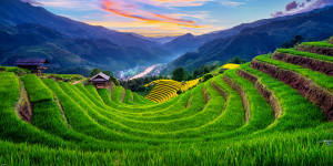 The rice terraces of Mu Cang Chai in Vietnam.