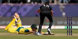 Marnus Labuschagne dives to complete a run against New Zealand.