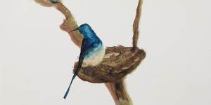 Blue Bird,1984,by Sidney Nolan. The painting was a favourite of his widow Mary. She kept it on the wall in her bedroom.