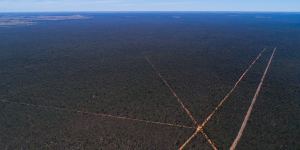 An aerial view of the 5800-hectare Saving Our Species sanctuary in the Pilliga.