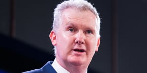 Employment Minister Tony Burke has suggested the federal government will again recommend the minimum wage rise in line with inflation.