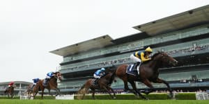 Storm Boy holds off Prost in the Skyline Stakes.