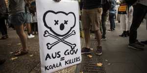 The loss of wildlife,especially Koala Bears,were the focal point for this protest sign.