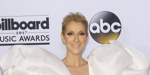 Celine Dion,posing in the press room of the 2017 Billboard Music Awards,is living her best sartorial life.