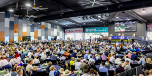 Beers,bibles and bidding from under a grandstand:What’s the Magic Millions really like?