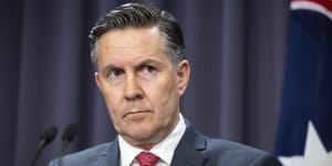 Federal Health Minister Mark Butler says government is keeping an open mind about silicosis action.