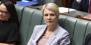 Could angry renters make Tanya Plibersek vulnerable in her seat of Sydney at the next election?