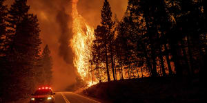 Carbon offset forests burn in US fires,raising doubts over climate credits