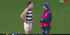 ‘Embarrassing,terrible,absurd’:AFL criticised for letting Cameron play on after head knock