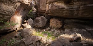 Aboriginal artist Wilfred Nawirridj studies rock art in a vast cave at Injalak Hill in Arnhem Land.