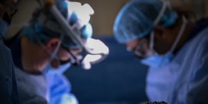 The application said gender-affirming surgery is already being performed in Australia but the system is fragmented and can have high out-of-pocket costs.