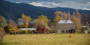 Take in the autumn colours of the Huon Valley.