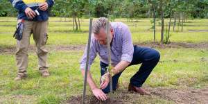 Planning Minister Anthony Roberts marks the completion of the NSW government’s 1 million tree planting program. 