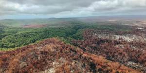 Federal government offers help to bushfire-damaged Fraser Island