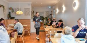 Maria cafe in Upwey features pale timber seating and plenty of fresh greenery.