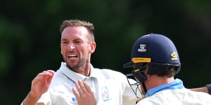 NSW paceman Trent Copeland (left) celebrates with Daniel Solway after taking a wicket earlier this season.