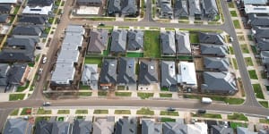 Bigger homes on smaller blocks pose some problems,such as:where to plant trees and how to harness sunlight? 