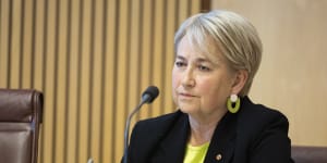 Greens Senator Barbara Pocock tried to table a list of 36 PwC partners who had knowledge of the leak.