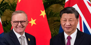 Anthony Albanese meets with Xi Jinping in Bali earlier this week.