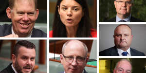 Liberal MPs (left to right):Bert Van Manen,Fiona Martin,Ted O’Brien,Phillip Thompson,Luke Howarth,Jason Wood and Russell Broadbent.