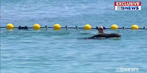 Sneaky seal slips in to crash Cottesloe beach barrier's big debut